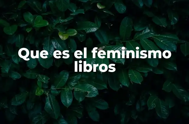 Que es el Feminismo Libros