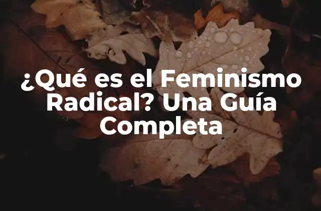 ¿qué es el Feminismo Radical? una Guía Completa