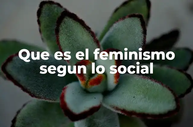 Que es el Feminismo Segun Lo Social