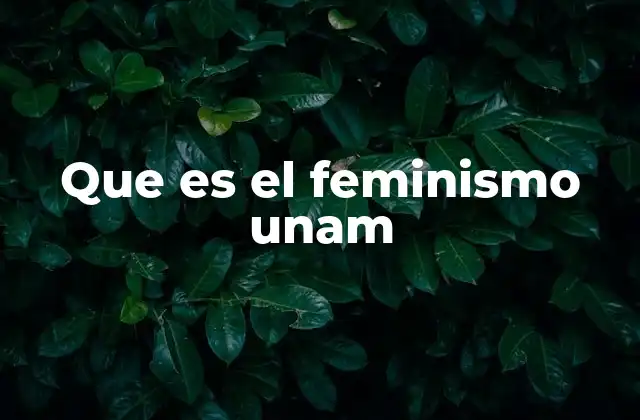 Que es el Feminismo Unam