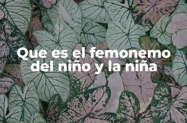 Que es el Femonemo Del Niño y la Niña