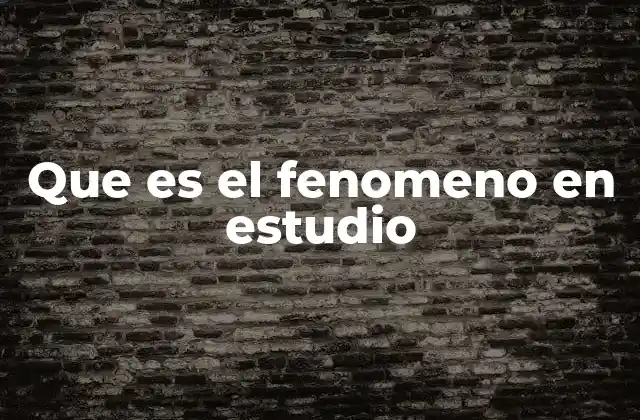 Que es el Fenomeno en Estudio