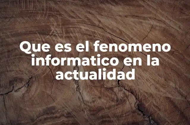 Que es el Fenomeno Informatico en la Actualidad