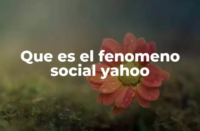Que es el Fenomeno Social Yahoo