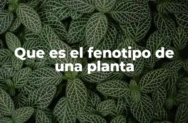 Cómo se expresa el fenotipo en las plantas