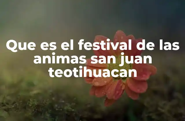 Que es el Festival de las Animas San Juan Teotihuacan