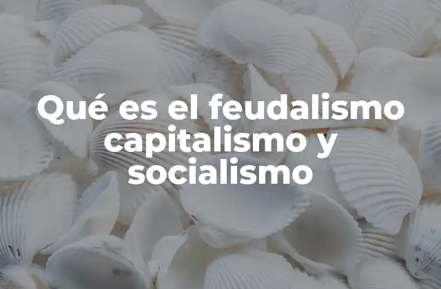 Qué es el Feudalismo Capitalismo y Socialismo