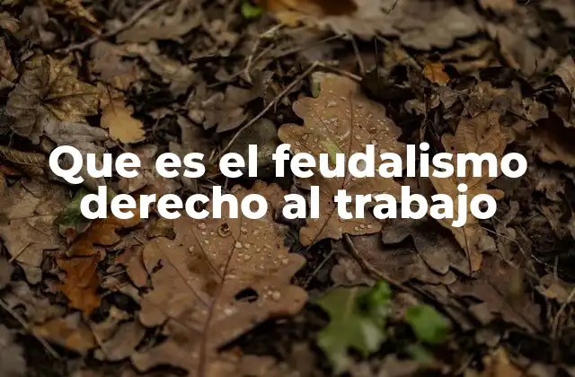 Que es el Feudalismo Derecho Al Trabajo