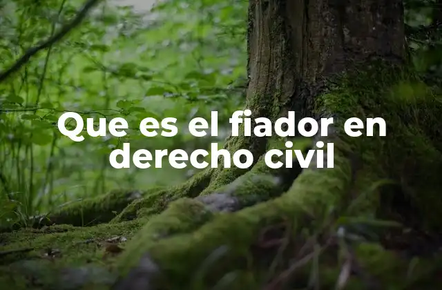 Que es el Fiador en Derecho Civil