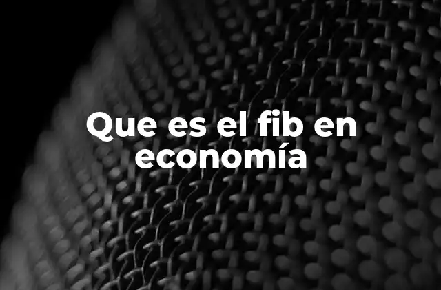Que es el Fib en Economía