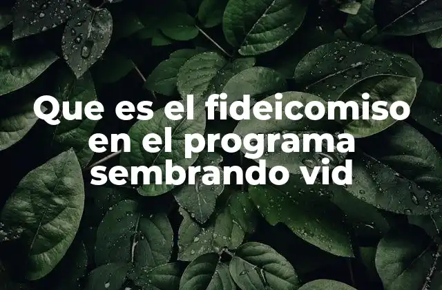 Que es el Fideicomiso en el Programa Sembrando Vid