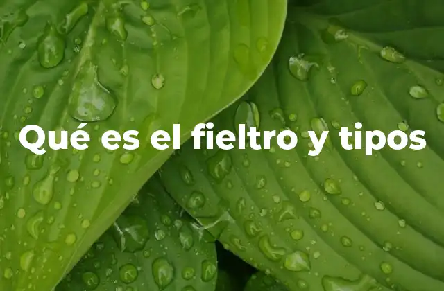 Aplicaciones del fieltro en distintos sectores industriales