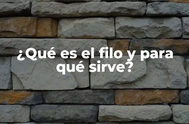 ¿qué es el Filo y para Qué Sirve?