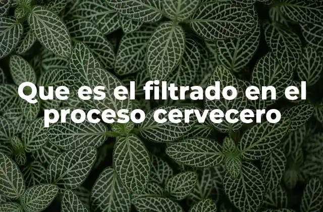 Que es el Filtrado en el Proceso Cervecero