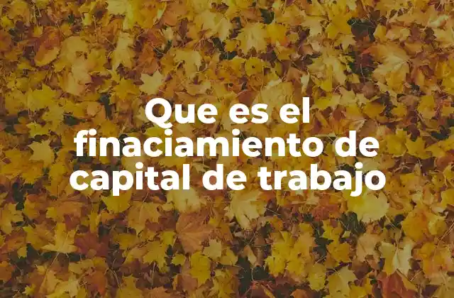 El equilibrio entre activos y pasivos corrientes en el financiamiento