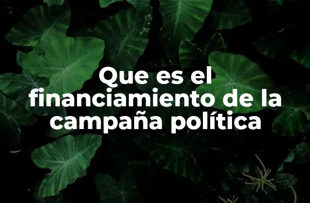 El rol del dinero en la política y su impacto en la democracia