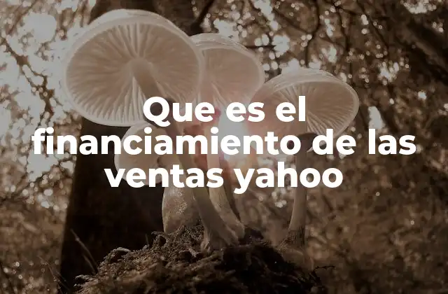 Que es el Financiamiento de las Ventas Yahoo