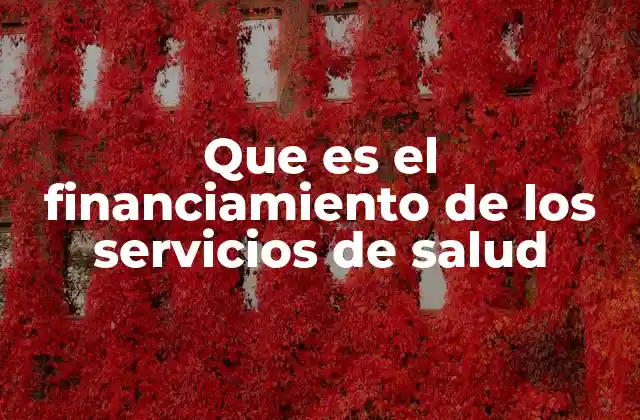 Que es el Financiamiento de los Servicios de Salud