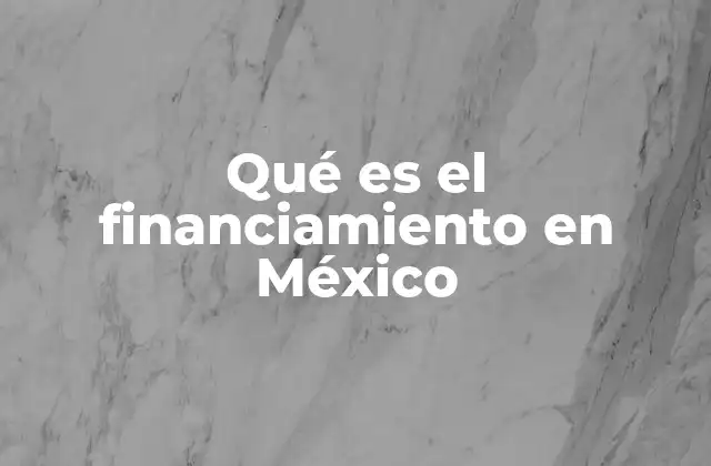 Qué es el Financiamiento en México