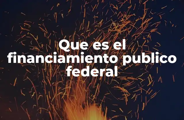 Que es el Financiamiento Publico Federal