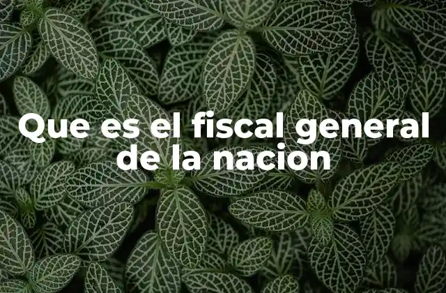 Que es el Fiscal General de la Nacion