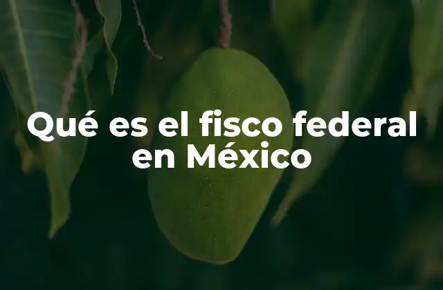 Qué es el Fisco Federal en México