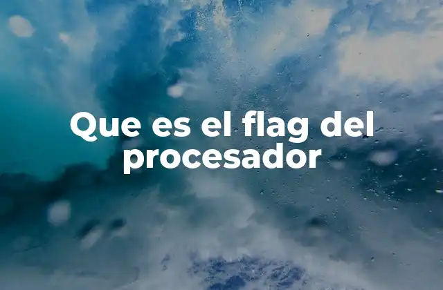 El rol del flag en el flujo de ejecución de las instrucciones