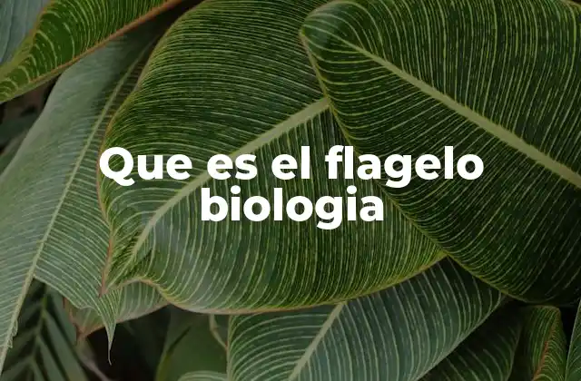 Que es el Flagelo Biologia