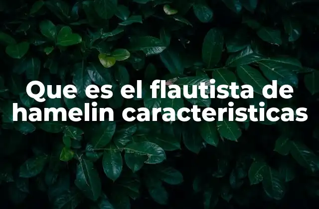 Que es el Flautista de Hamelin Caracteristicas