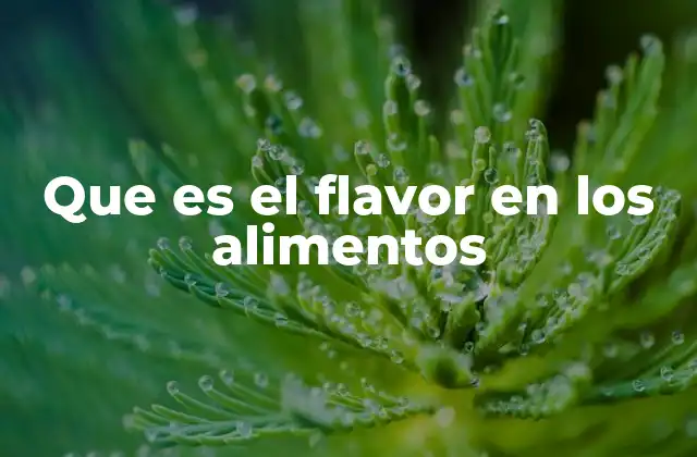 Que es el Flavor en los Alimentos