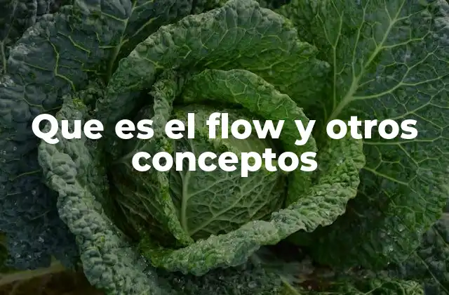 Cómo se manifiesta el estado de flujo y otros conceptos psicológicos