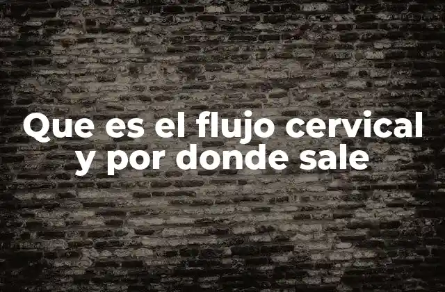 Que es el Flujo Cervical y por Donde Sale