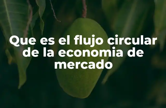 Que es el Flujo Circular de la Economia de Mercado