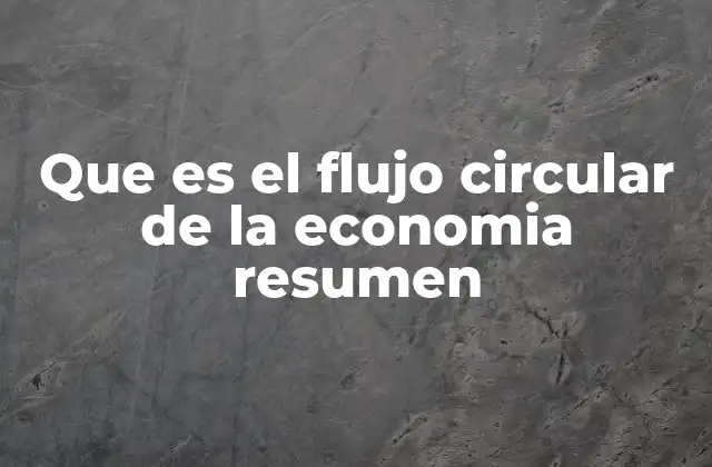 Que es el Flujo Circular de la Economia Resumen