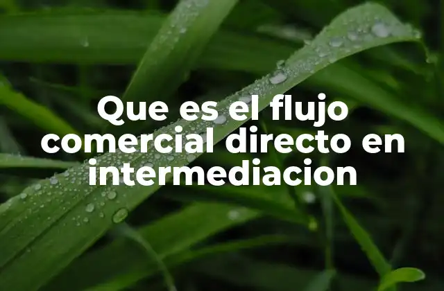 Que es el Flujo Comercial Directo en Intermediacion