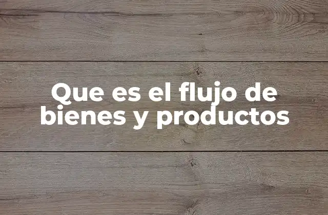 Que es el Flujo de Bienes y Productos
