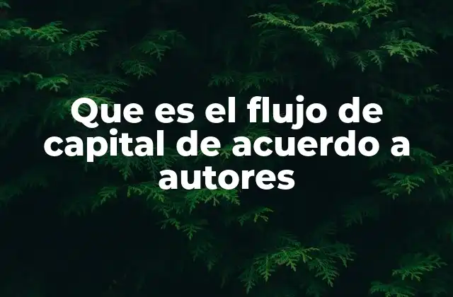 El papel del flujo de capital en la economía global
