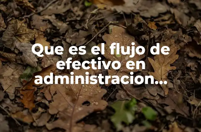 Que es el Flujo de Efectivo en Administracion Financiera