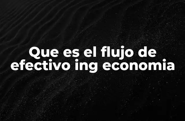 Que es el Flujo de Efectivo Ing Economia