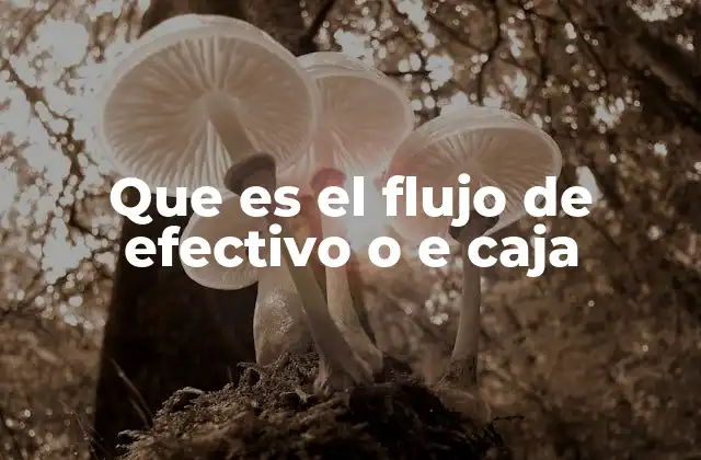 Que es el Flujo de Efectivo o e Caja