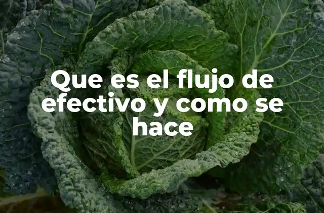 Que es el Flujo de Efectivo y como Se Hace