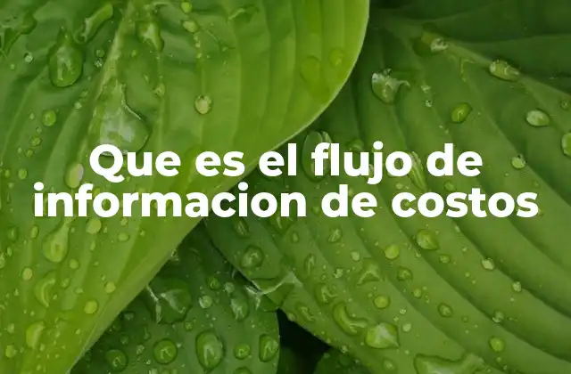 La importancia de un sistema eficiente de gestión de costos