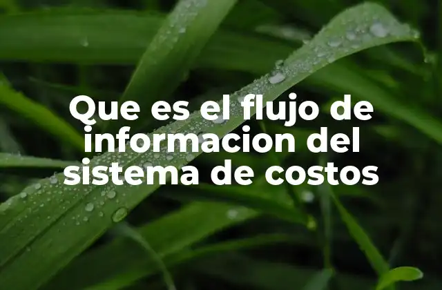 Que es el Flujo de Informacion Del Sistema de Costos