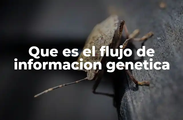 Que es el Flujo de Informacion Genetica 2 La base molecular del flujo de información