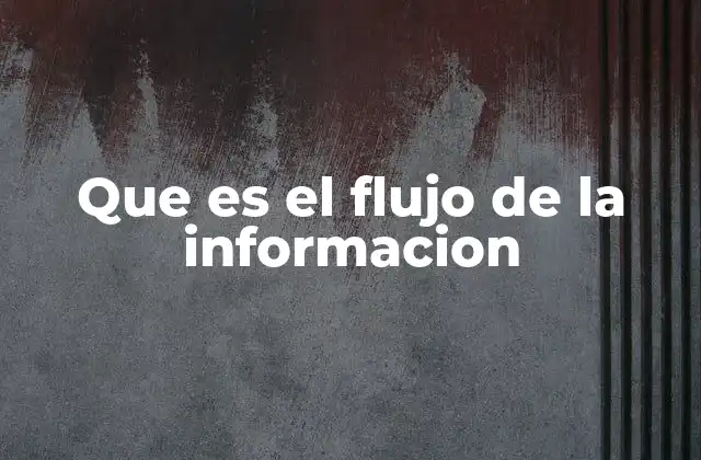 Que es el Flujo de la Informacion