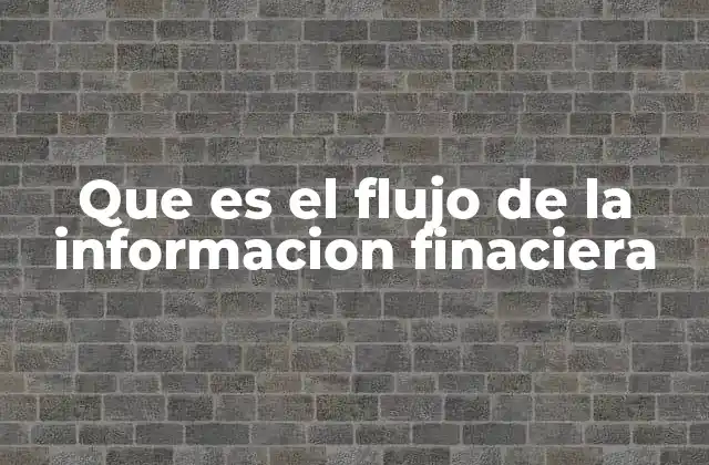 Que es el Flujo de la Informacion Finaciera