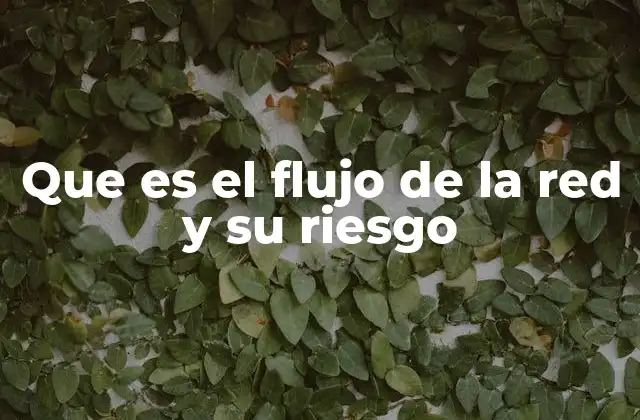 Que es el Flujo de la Red y Su Riesgo