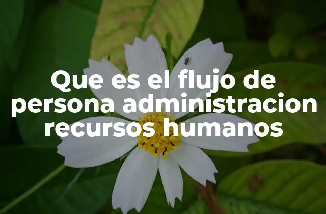Que es el Flujo de Persona Administracion Recursos Humanos