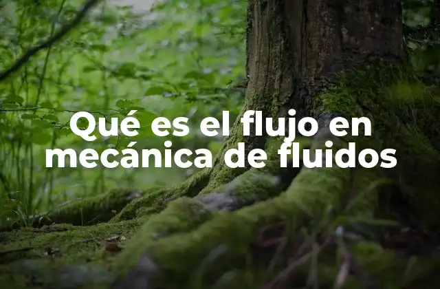 Qué es el Flujo en Mecánica de Fluidos