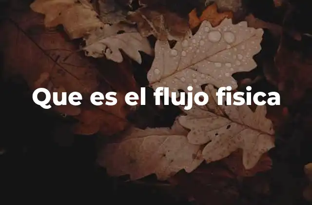 Que es el Flujo Fisica